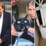 Elderly Human Rights Lawyer Sues Police for Unlawful Cat Seizure