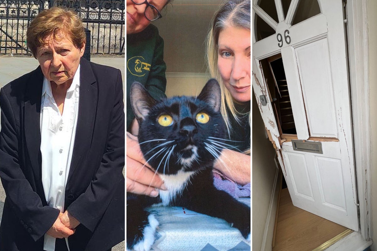 Elderly Human Rights Lawyer Sues Police for Unlawful Cat Seizure