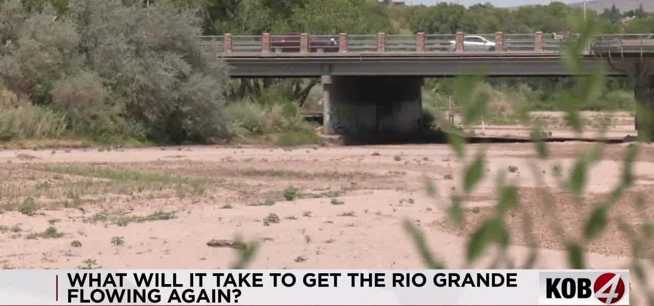 Paper River: Bureaucracy, Drought, and a Deserted Rio Grande Paper River: Bureaucracy, Drought, and a Deserted Rio Grande