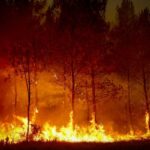 Massive Wildfires Engulf France and Spain, Prompting Urgent Evacuations Massive Wildfires Engulf France and Spain, Prompting Urgent Evacuations