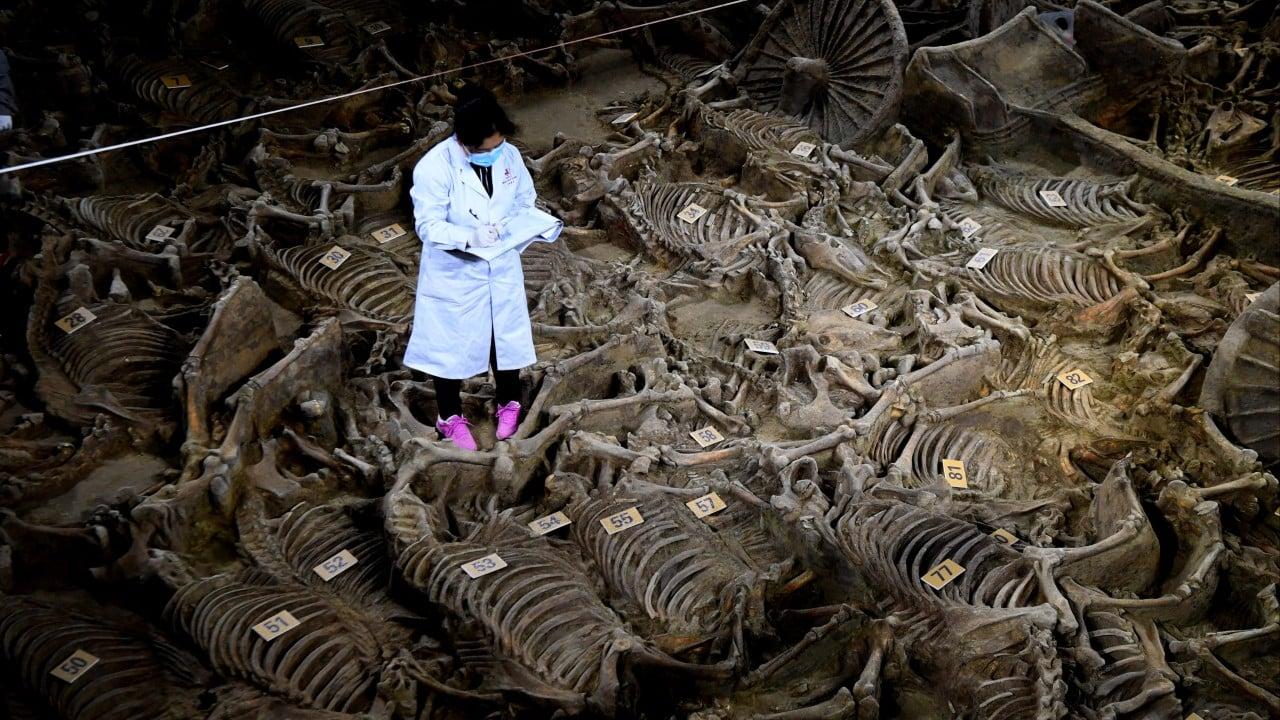 Ancient China Wars: Lessons on Hegemony and Balance of Power