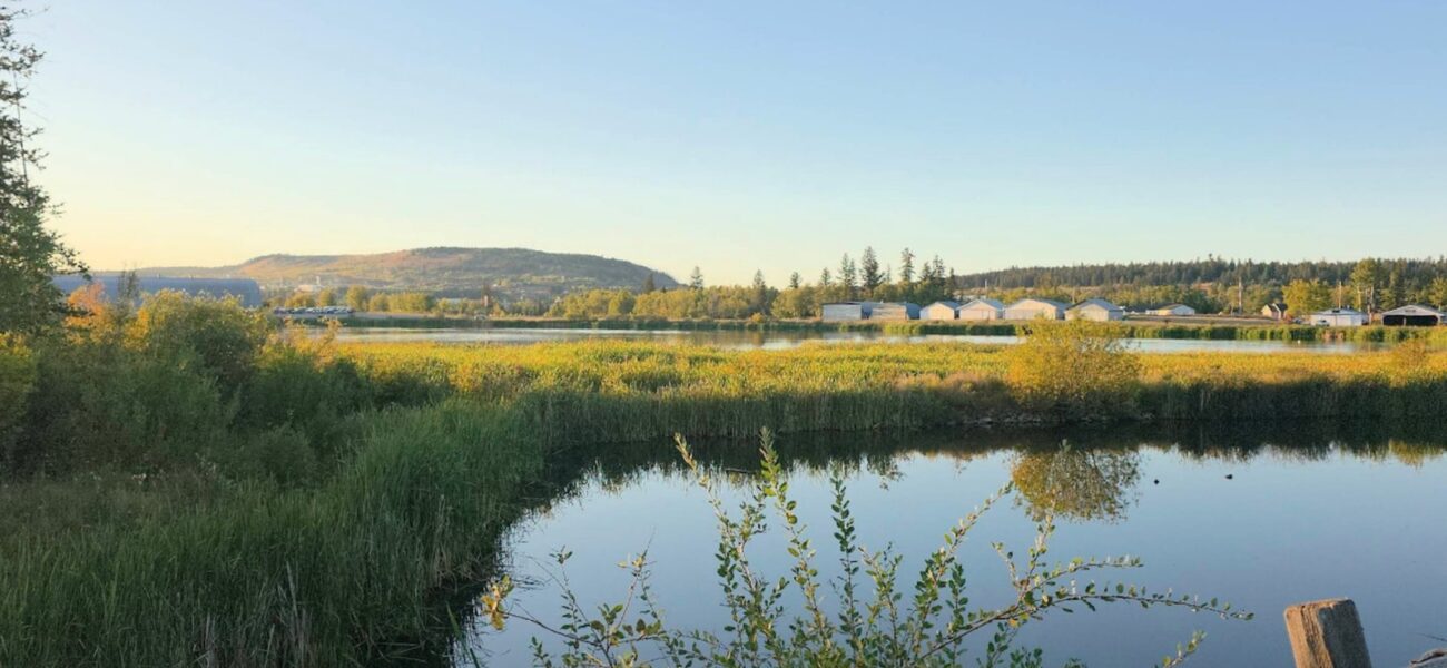 BC Wetland: Canada’s Environmental Crossroads BC Wetland: Canada’s Environmental Crossroads