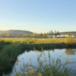 BC Wetland: Canada’s Environmental Crossroads BC Wetland: Canada’s Environmental Crossroads