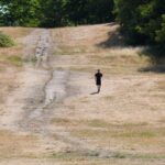 UK Farmers Warn of Imminent Food Shortages Amid Drought Crisis UK Farmers Warn of Imminent Food Shortages Amid Drought Crisis