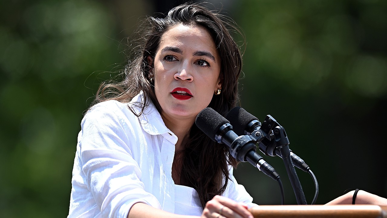 Socialist Tempest: Early 2028 Endorsement Ignites Internal Progressive Warfare