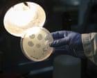 Safety Concerns Arise as Scientists Create First AI-Designed Viruses