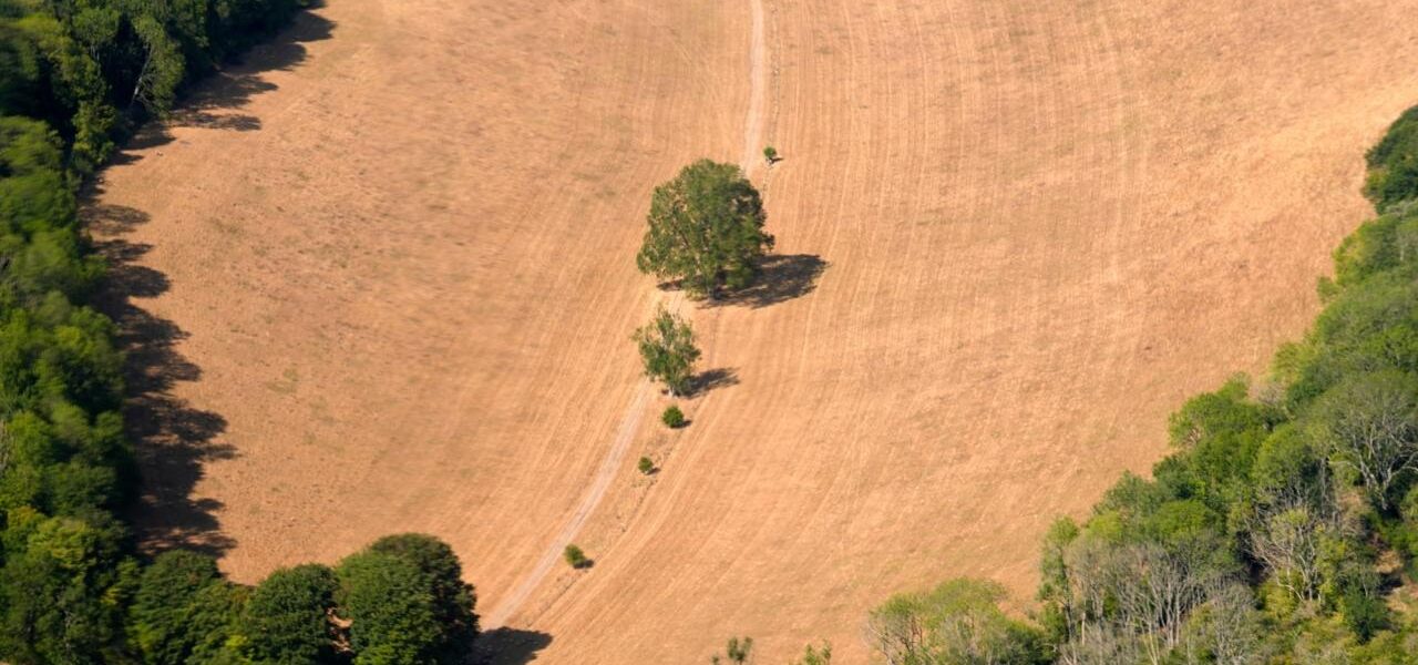 UK Records Hottest Day of the Year with 38.1C in Kew Gardens