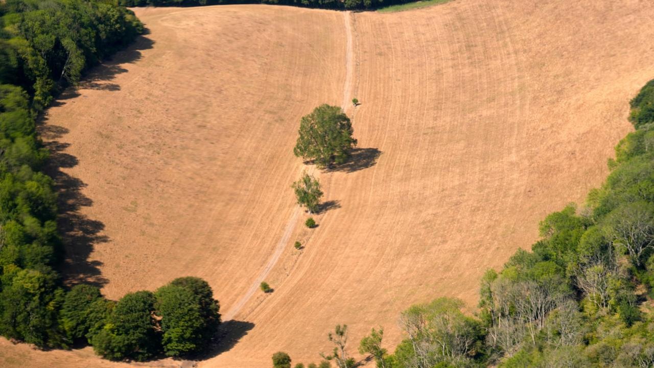 UK Records Hottest Day of the Year with 38.1C in Kew Gardens
