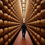 Italy’s Parmigiano Reggiano: Assessing Heat Wave Impact on Cheese Production Italy’s Parmigiano Reggiano: Assessing Heat Wave Impact on Cheese Production