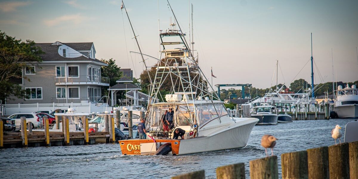 Record-Breaking 1260-Pound Atlantic Blue Marlin Caught Off East Coast Record-Breaking 1260-Pound Atlantic Blue Marlin Caught Off East Coast
