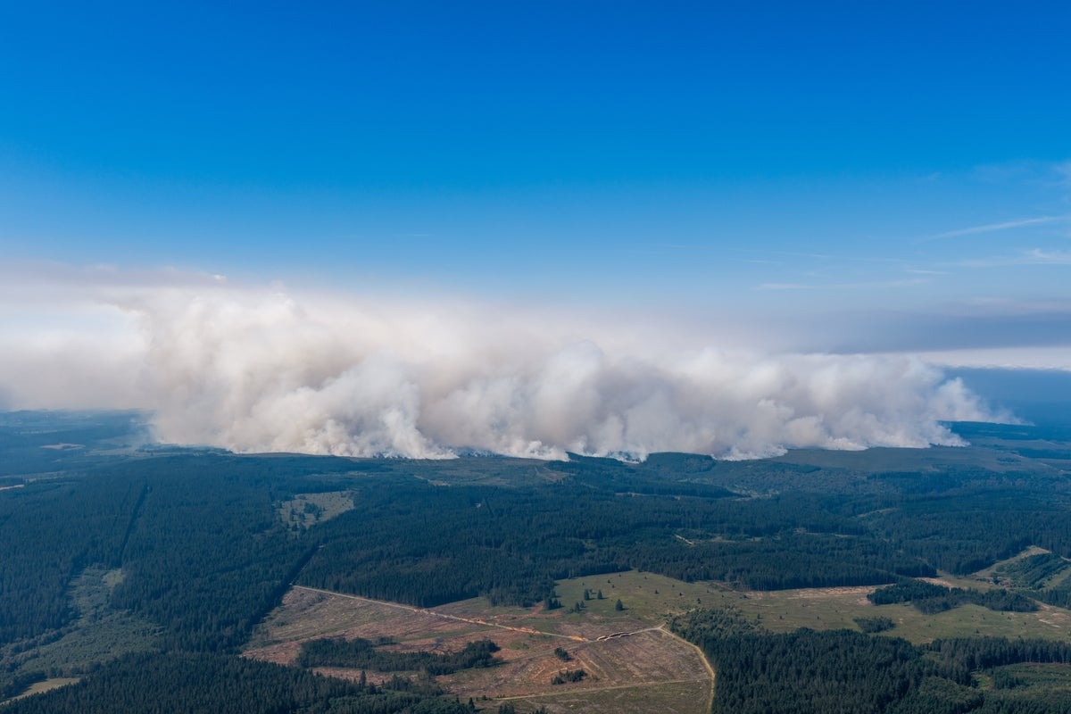 Hundreds Evacuated Amid Devastating Wildfires in Belgian Nature Reserve Hundreds Evacuated Amid Devastating Wildfires in Belgian Nature Reserve