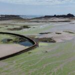 St Aubin’s Bay Experiences Unprecedented Summer Free of Green Sea Lettuce St Aubin’s Bay Experiences Unprecedented Summer Free of Green Sea Lettuce