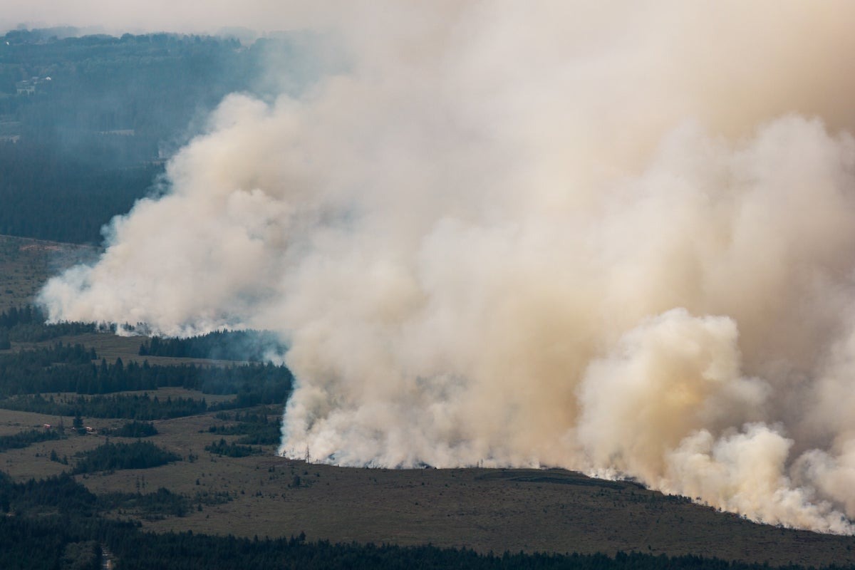 Belgian Wildfire: Firefighters Battle Blaze as Hundreds Evacuate
