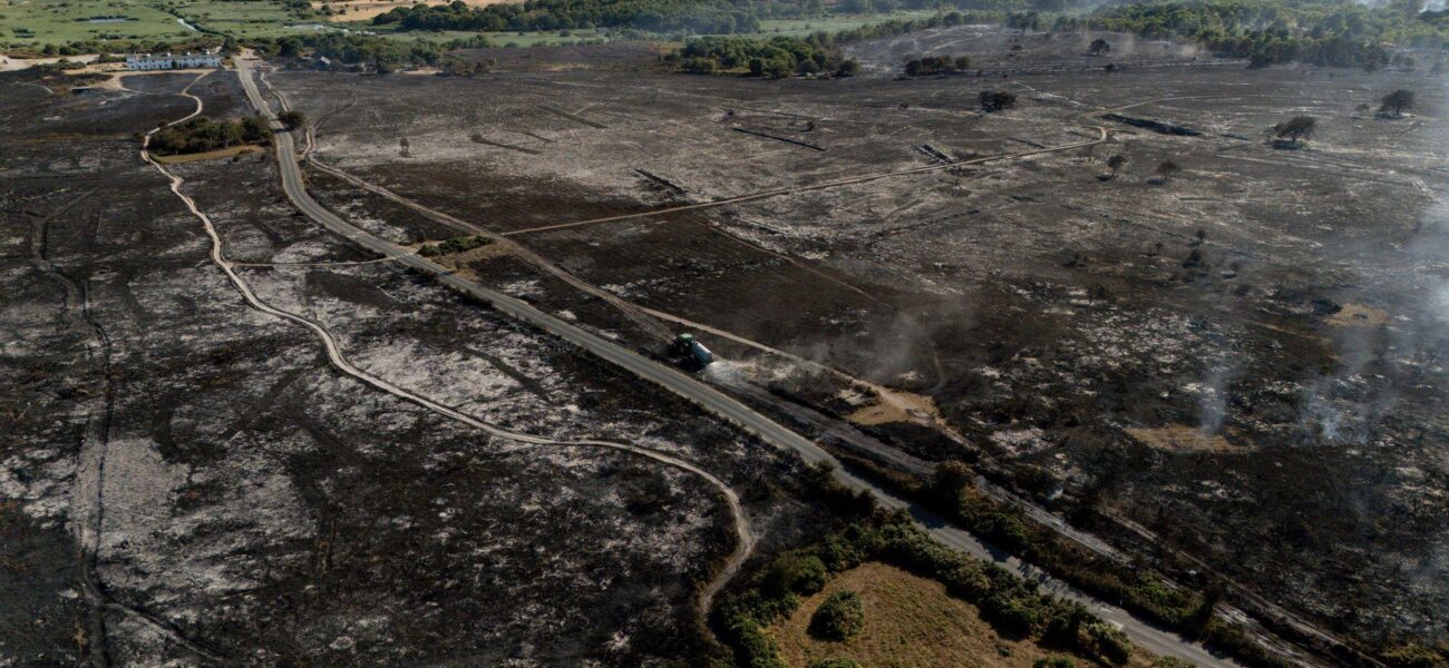 Suffolk Wildfire: National Trust Launches Appeal Amid Ongoing Blaze