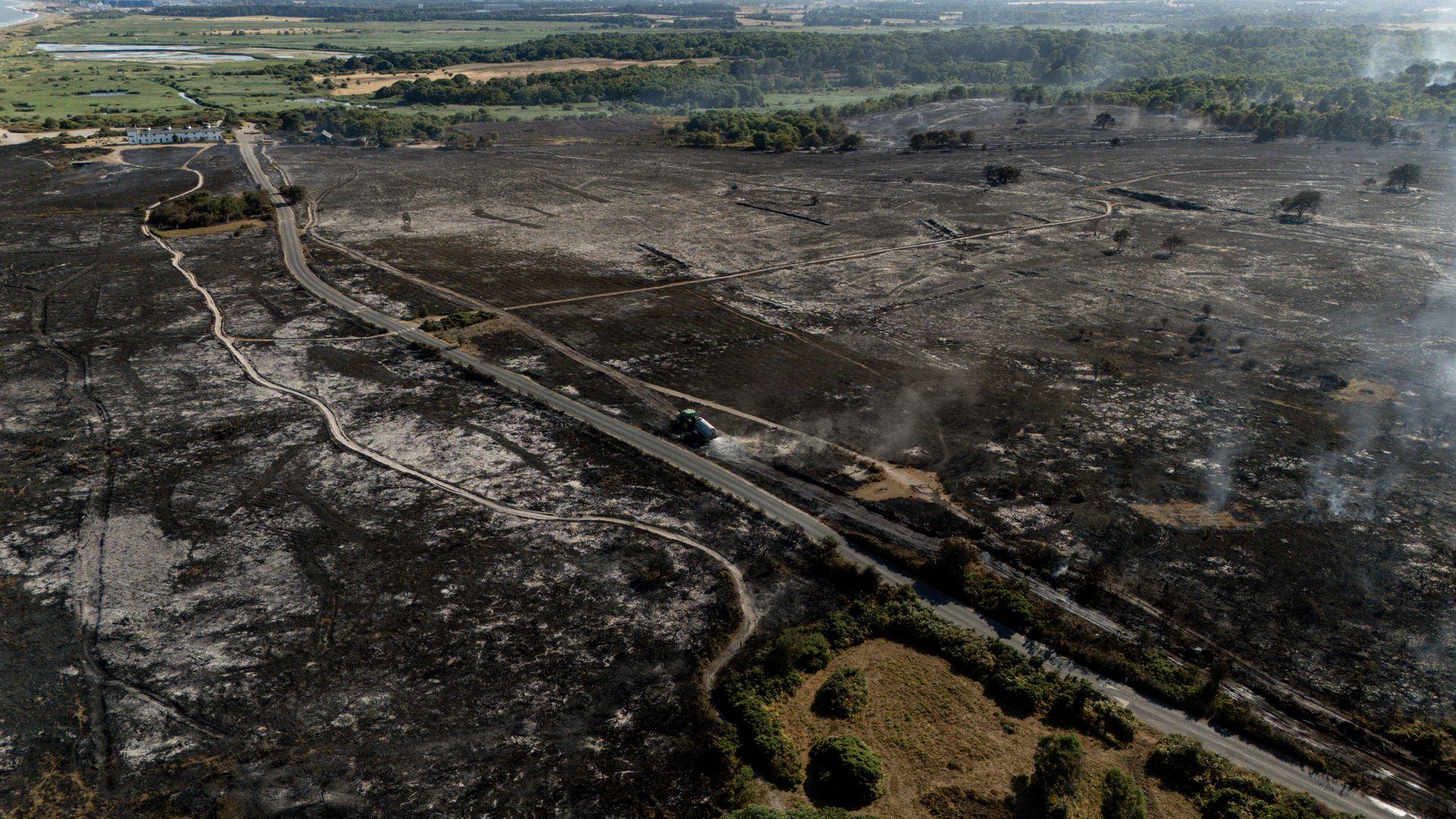 Suffolk Wildfire: National Trust Launches Appeal Amid Ongoing Blaze