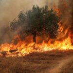 Europe Faces Crisis as Record Heat Sparks Wildfires and Drought