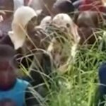 Nigeria Launches Nationwide Manhunt Following Release of Hostage Video
