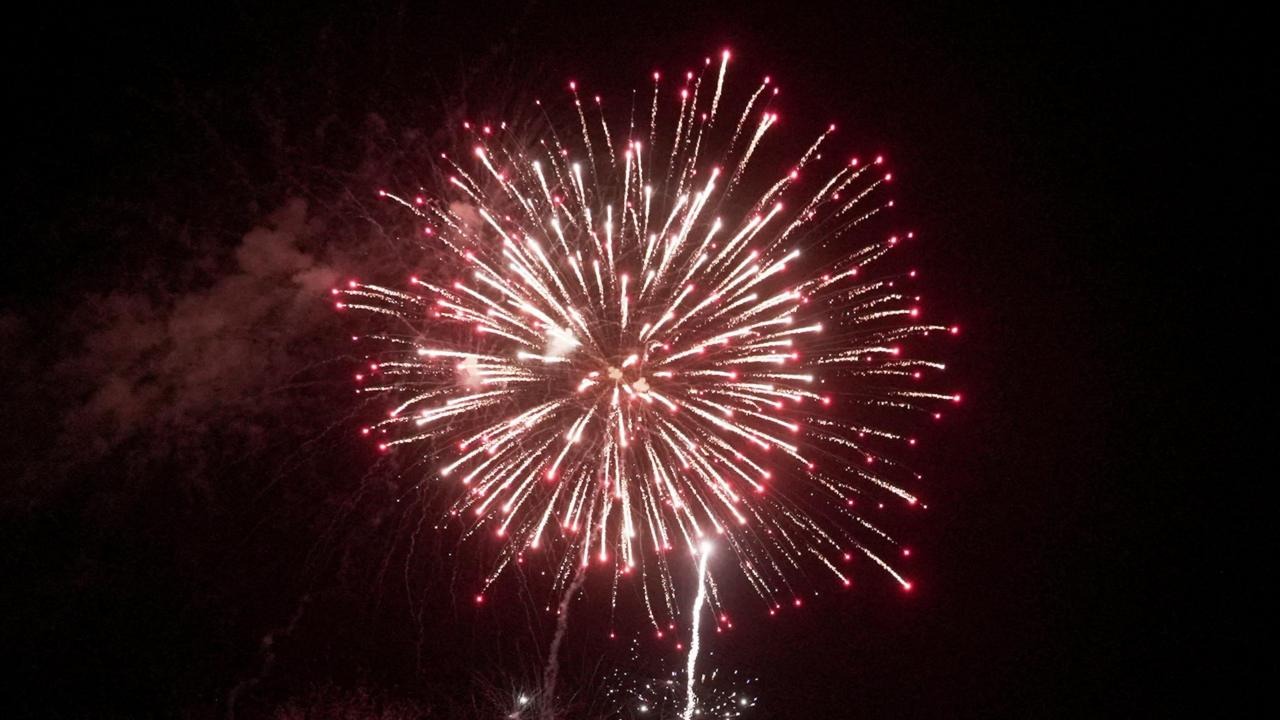 MPs Call for Fireworks Ban Amid Wildfire Crisis in UK
