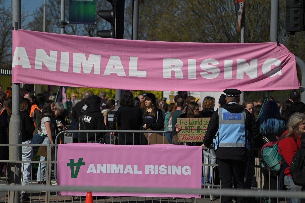 Animal Rights Activists Sue Met Police for Wrongful Arrests Ahead of King’s Coronation