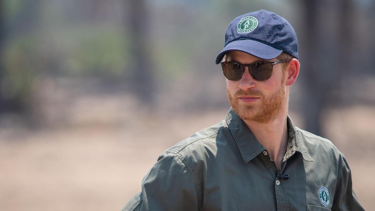 Prince Harry Resigns from African Wildlife Charity Board Amid Human Rights Allegations Prince Harry Resigns from African Wildlife Charity Board Amid Human Rights Allegations