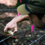 Connecticut Launches First Decade-Long Black Bear Population Survey