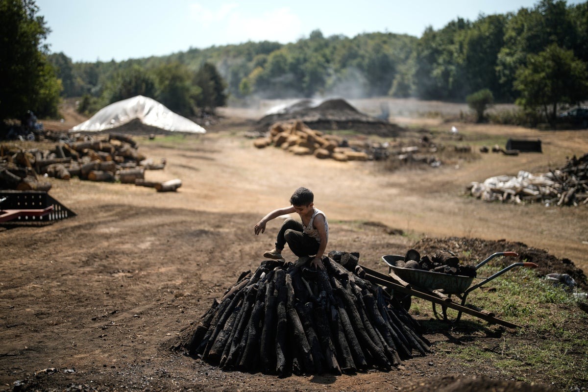 Preserving Tradition: Father and Sons Sustain Charcoal Craft in Turkey Preserving Tradition: Father and Sons Sustain Charcoal Craft in Turkey