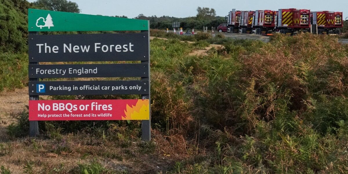 Emergency Alert Issued as New Forest Wildfire Enters Seventh Day Emergency Alert Issued as New Forest Wildfire Enters Seventh Day