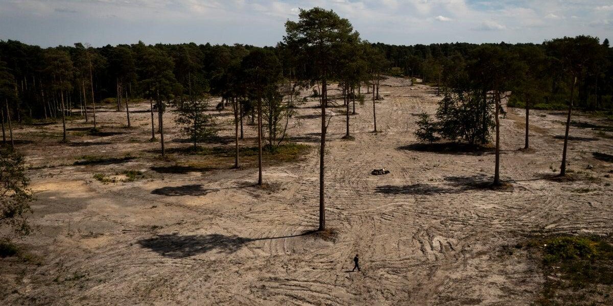 Wisley Village Endures Record-Breaking 50-Day Drought Amid Looming Heatwave