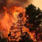 Unprecedented Wildfires Ravage Europe Amid Record-Breaking Heatwaves