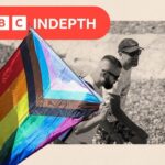 Corporate Support for Pride Faces Internal and External Backlash