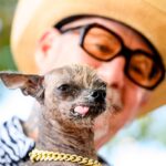 Annual World’s Ugliest Dog Contest Held at Sonoma County Fair