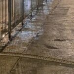 Burmese Python Sighting in Hong Kong’s Busy Causeway Bay Sparks Concern Burmese Python Sighting in Hong Kong’s Busy Causeway Bay Sparks Concern