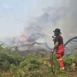 New Forest Wildfire Rages On Amid Rising Temperatures New Forest Wildfire Rages On Amid Rising Temperatures