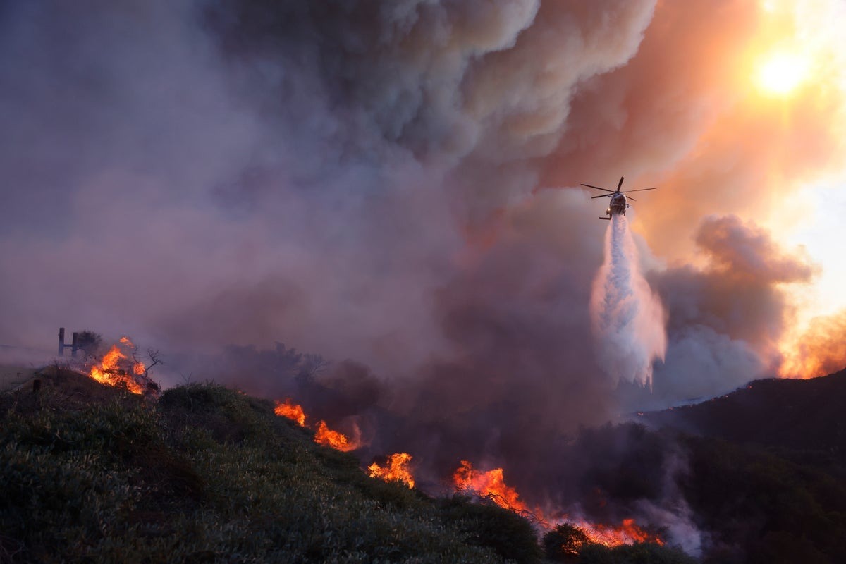 Officials Issue Urgent Warning to Wildland Firefighters About Smoke Exposure Supplement Officials Issue Urgent Warning to Wildland Firefighters About Smoke Exposure Supplement
