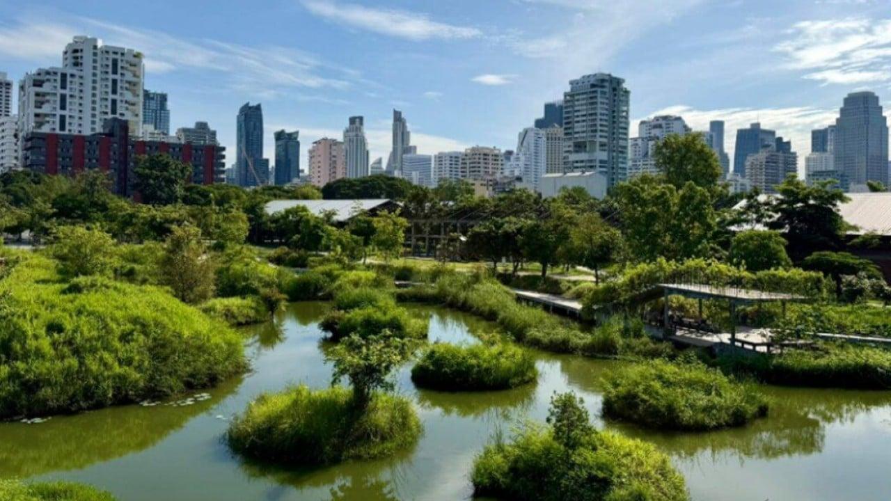Bangkok’s Urban Green Revival: Pandemic-Driven Transformation Bangkok’s Urban Green Revival: Pandemic-Driven Transformation