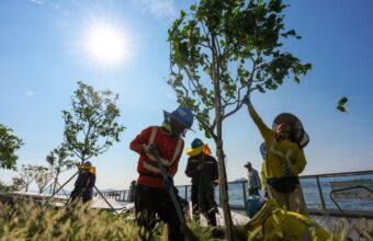 Hong Kong Faces Urgent Call to Overhaul Heat Stress Warning System
