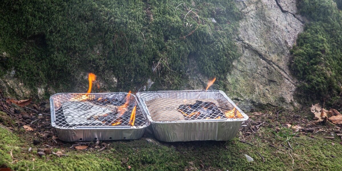 UK Temporarily Bans Disposable Barbecues Amid Wildfire Crisis