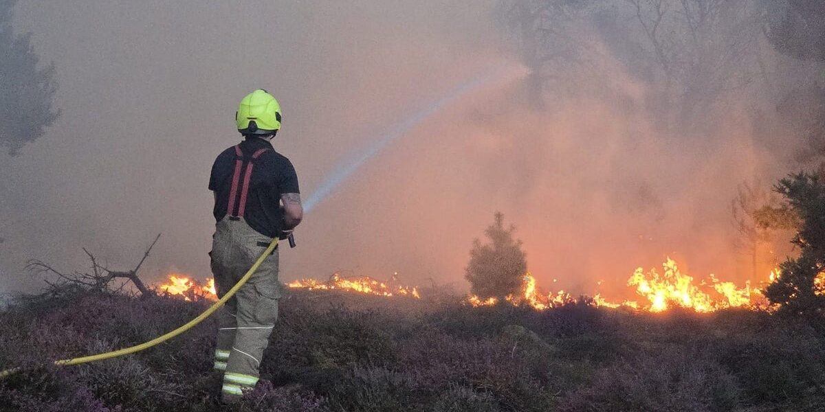 Climate Crisis: Extreme Heat Threatens British Wildlife and Landscapes