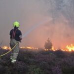 Climate Crisis: Extreme Heat Threatens British Wildlife and Landscapes