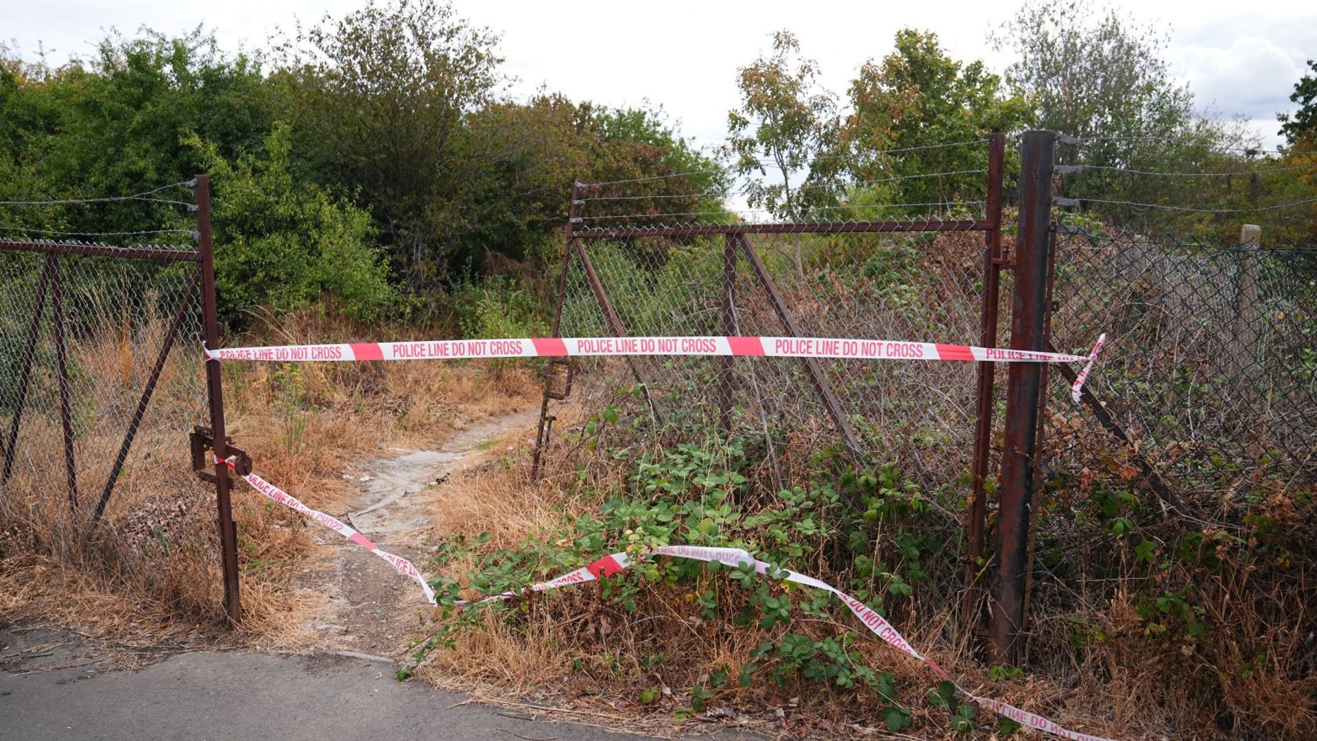 Police Launch Investigation After Human Remains Found in Woodland Police Launch Investigation After Human Remains Found in Woodland