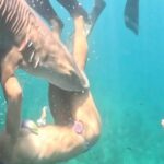 Influencer Tayane Dalazen Attacked by Shark During Brazil Dive Influencer Tayane Dalazen Attacked by Shark During Brazil Dive