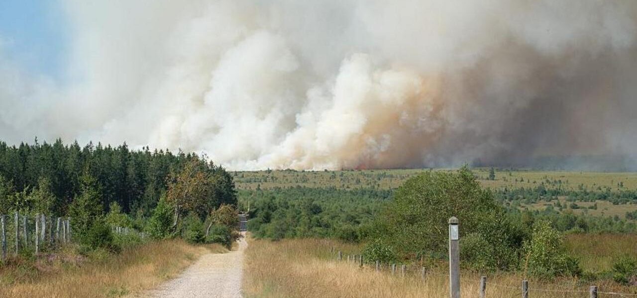 Belgium’s Worst Wildfire in Years Ravages Nature Reserve
