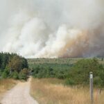 Belgium’s Worst Wildfire in Years Ravages Nature Reserve