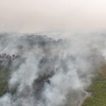 Indonesian Authorities Arrest 72 Individuals Suspected in Forest Fires Indonesian Authorities Arrest 72 Individuals Suspected in Forest Fires