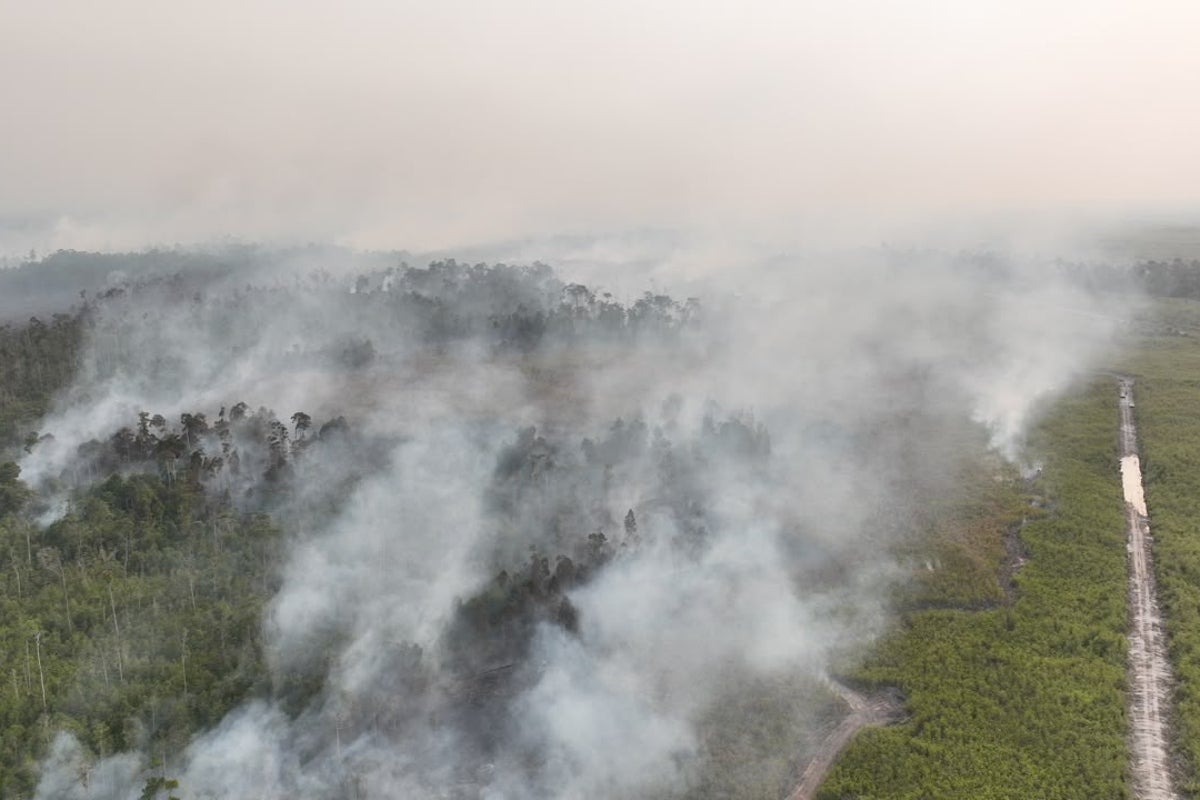 Indonesian Authorities Arrest 72 Individuals Suspected in Forest Fires Indonesian Authorities Arrest 72 Individuals Suspected in Forest Fires