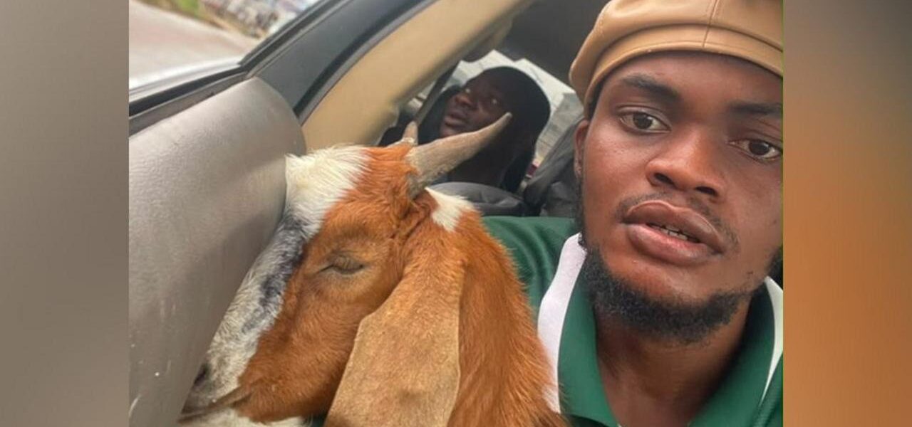 Viral Sensation: The Unlikely Graduation Gift – A Goat Viral Sensation: The Unlikely Graduation Gift – A Goat