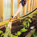 Public Outrage Erupts Over Hosepipe Ban by Sewage-Spill Company Public Outrage Erupts Over Hosepipe Ban by Sewage-Spill Company