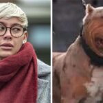 Defendant Claims XL Bully Dog Not Prone to Aggression in Fatal Attack Trial Defendant Claims XL Bully Dog Not Prone to Aggression in Fatal Attack Trial
