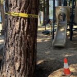 Investigation Uncovers Possible Deliberate Tree Poisoning at Private Beach Community Investigation Uncovers Possible Deliberate Tree Poisoning at Private Beach Community