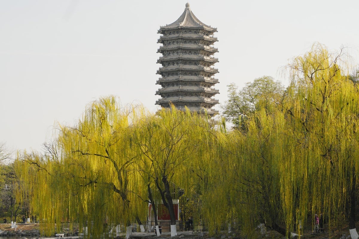 Rising Urban Temperatures Cause Certain Trees to Worsen Air Quality Rising Urban Temperatures Cause Certain Trees to Worsen Air Quality